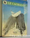 Le cachalot prince de l'océan