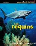 Les requins