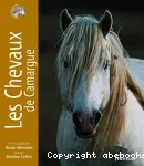 Les chevaux de Camargue
