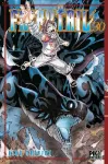 Fairy Tail 30