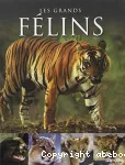 Les félins