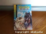 Sheltie et le poney abandonné